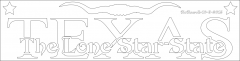 Texas The Lone Star State 2