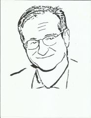 Robin Williams Pattern