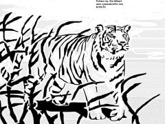 Tiger in tall grass