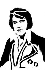 ELVIS