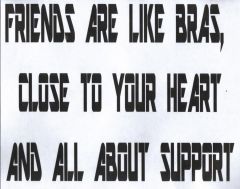 FRIENDS ARE LIKE BRAS
