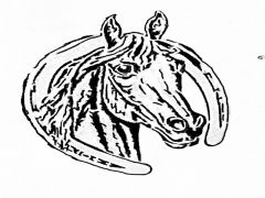 Horse and horseshoe
