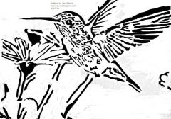 Hummingbird