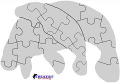 Manatee Puzzle