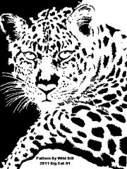 Big Cat #1