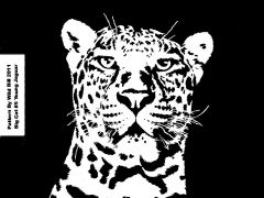 Big Cat #5 Young Jaguar