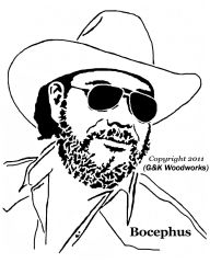 Hank Jr