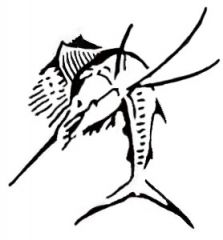 Sailfish