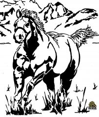 Horse of Roids