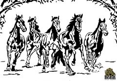5 Horses