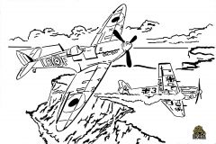 DetailDogfight