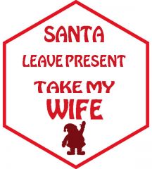 Santa Wife