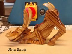 MOOSE TREATED