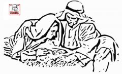 In a manger