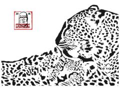 Leapard and Cub