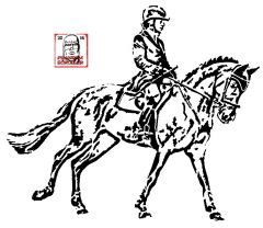 Year of the Horse