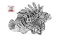 lion fish