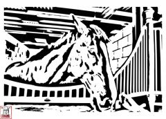 Horse In stable