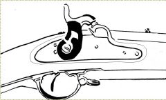 purcussion mechanism