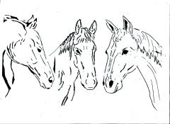 A three horse pattern