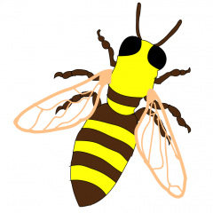 Bumble Bee intarsia body