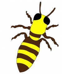 Bumble Bee intarsia