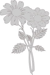 Two flowers