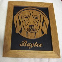 Baylee