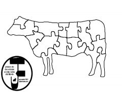 Cow copy