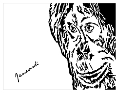 monkey