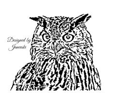 Owl 3
