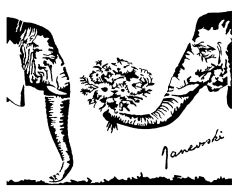 elephant love