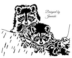 raccon2
