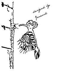 woodpecker