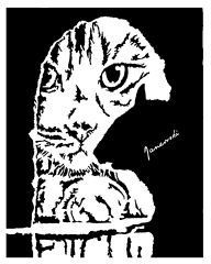 cat&mouse