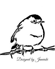 robin