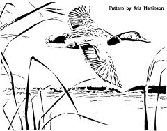 Mallard In flight pattern 1