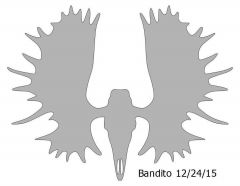 Moose Skull