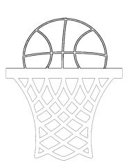 basketball Net shelf