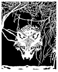 wolf In Den