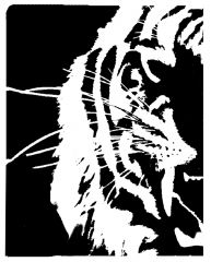 Tiger face (left side) 1of 2