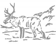 Caribou Pattern