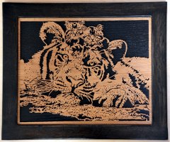 Kittens and Tiger