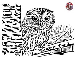 Young Owl