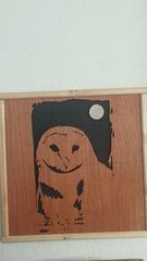Moonlight Owl