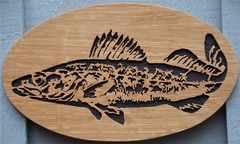 Pickerel