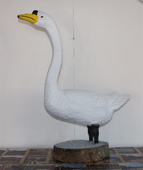 Swan