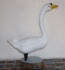 Swan 2