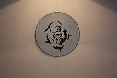 White Gorilla Vinyl