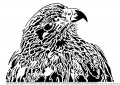 GoldenEagle.jpg